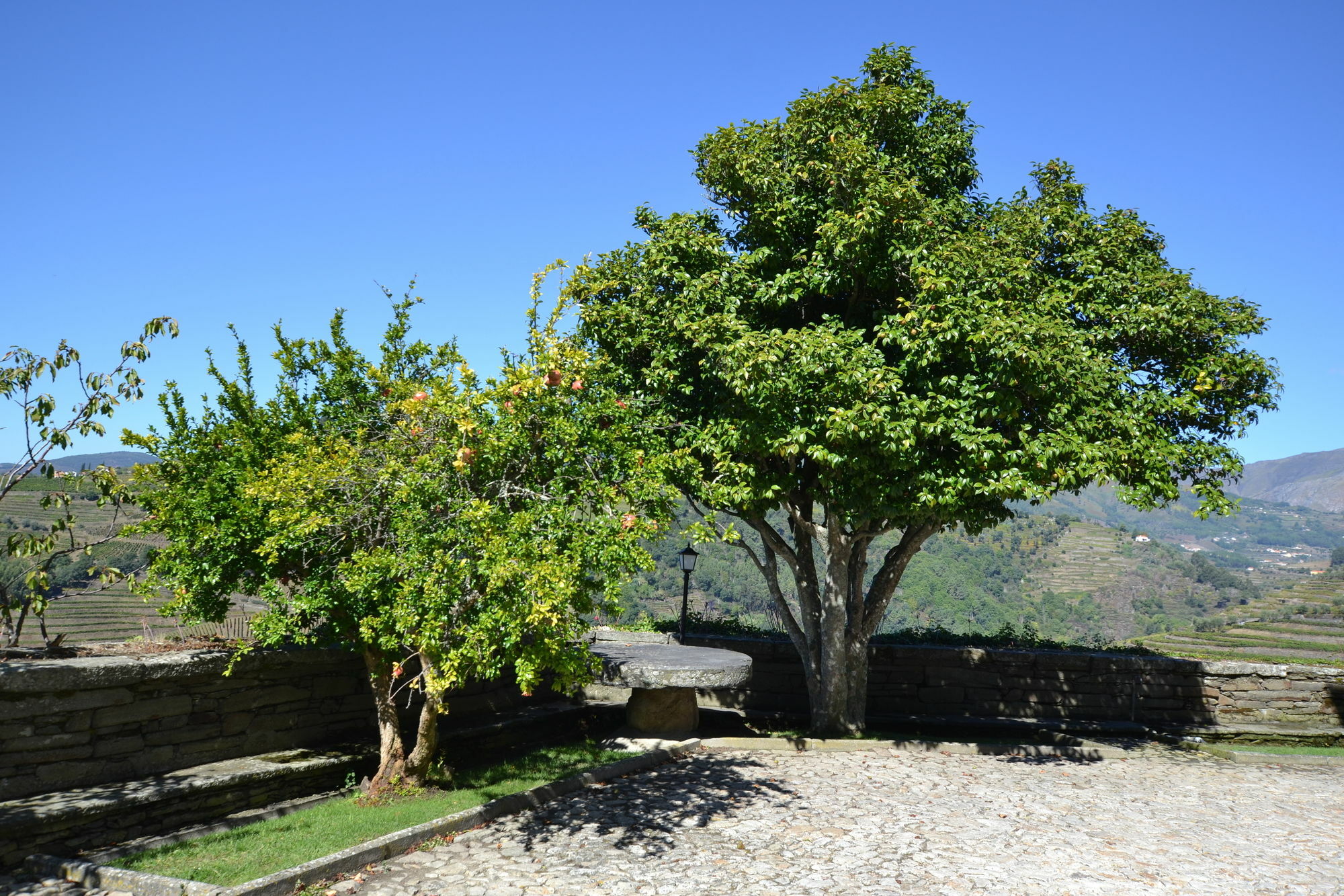 Casa Das Torres De Oliveira Mesao Frio Bagian luar foto