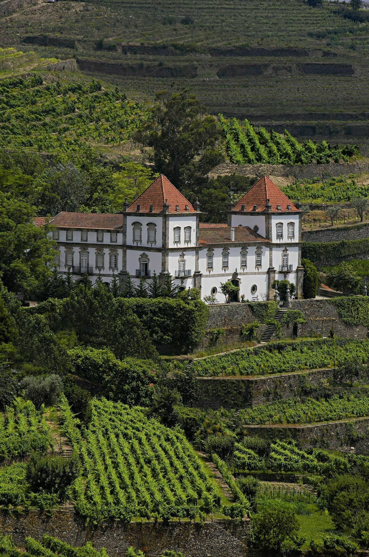 Casa Das Torres De Oliveira Mesao Frio Bagian luar foto